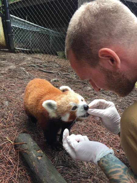 daily picdump 94 pics 2.html - 94 HD Photos | Premium Gallery 2016