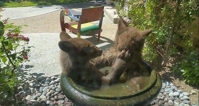 daily picdump 94 pics 2.html - 94 HD Photos | Premium Gallery 2016