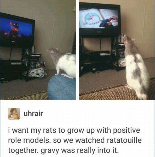 daily picdump 94 pics 2.html - 94 HD Photos | Premium Gallery 2016