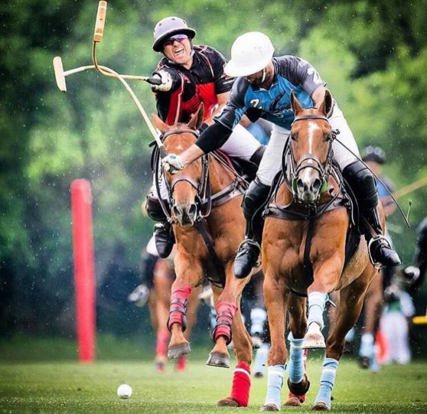 morning picdump 51 pics 12.html - 51 HD Photos | Premium Gallery 2016