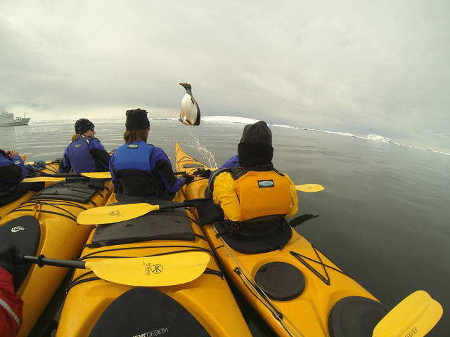 morning picdump 51 pics 12.html - 51 HD Photos | Premium Gallery 2016