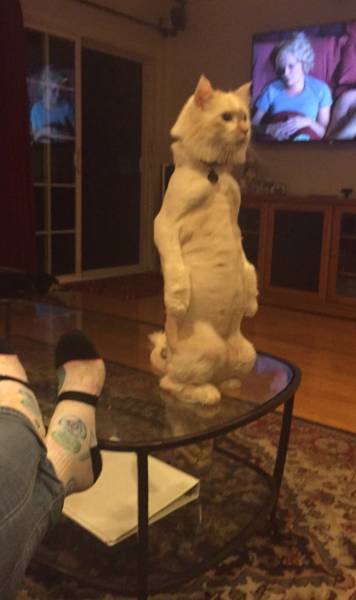 morning picdump 51 pics 12.html - 51 HD Photos | Premium Gallery 2016