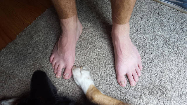 morning picdump 51 pics 12.html - 51 HD Photos | Premium Gallery 2016