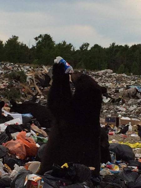 daily picdump 102 pics 38.html - 102 HD Photos | Premium Gallery 2016