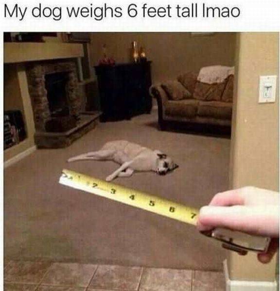 daily picdump 102 pics 38.html - 102 HD Photos | Premium Gallery 2016