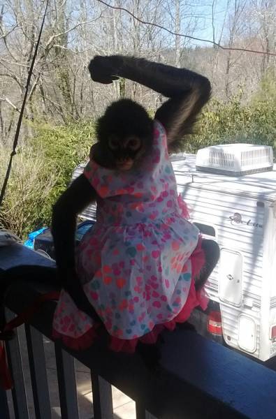 daily picdump 102 pics 38.html - 102 HD Photos | Premium Gallery 2016