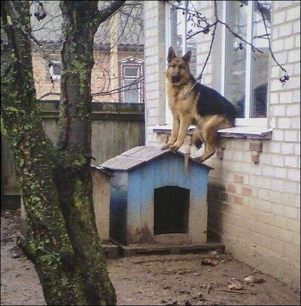 daily picdump 102 pics 38.html - 102 HD Photos | Premium Gallery 2016