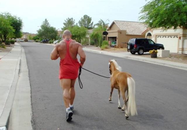 daily picdump 102 pics 38.html - 102 HD Photos | Premium Gallery 2016