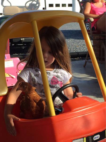 Daily Picdump [WEEKEND EDITION]