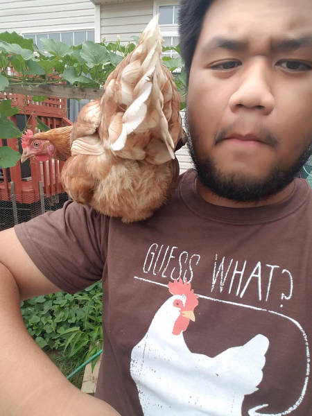 Daily Picdump [WEEKEND EDITION]