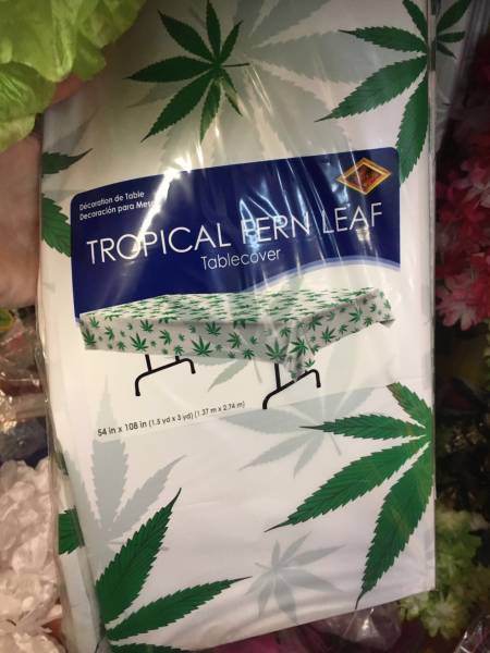 Daily Picdump [WEEKEND EDITION]