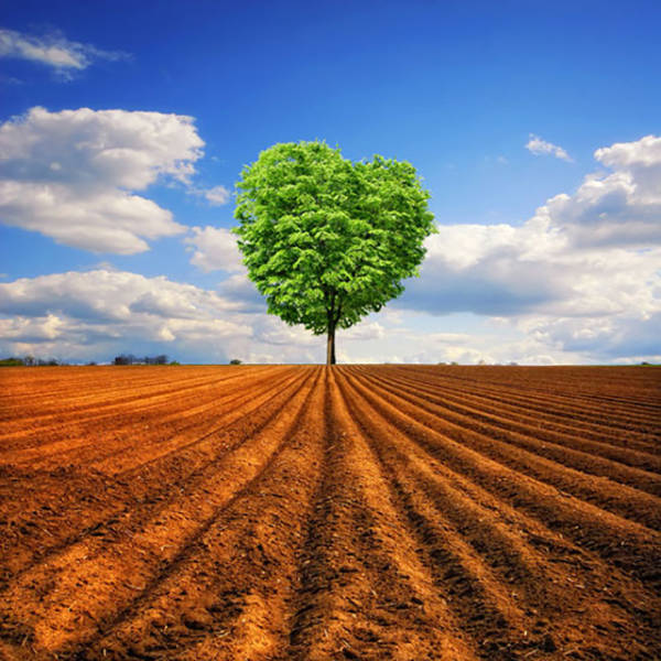 Daily Picdump [WEEKEND EDITION]