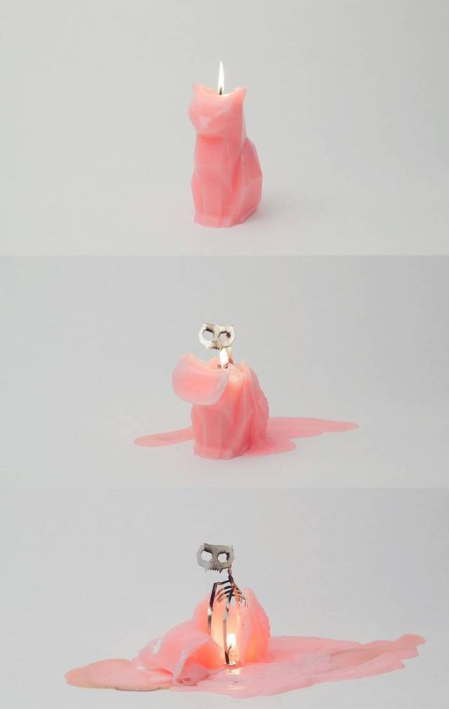 Daily Picdump [WEEKEND EDITION]