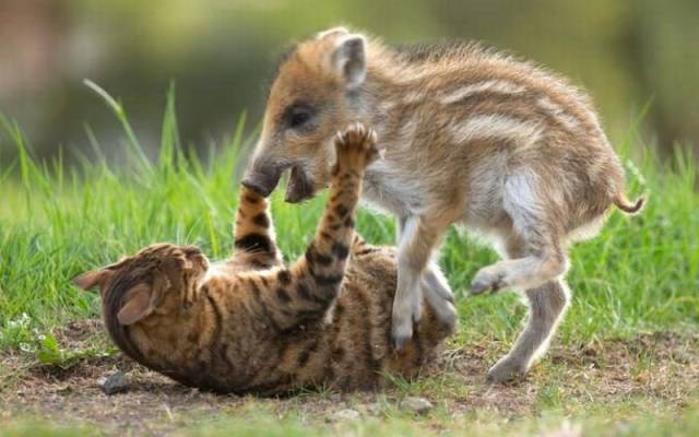Daily Picdump
