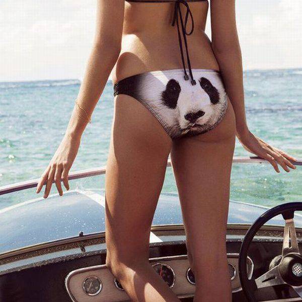 Daily Picdump