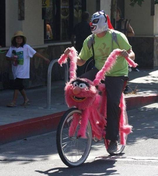 Daily Picdump