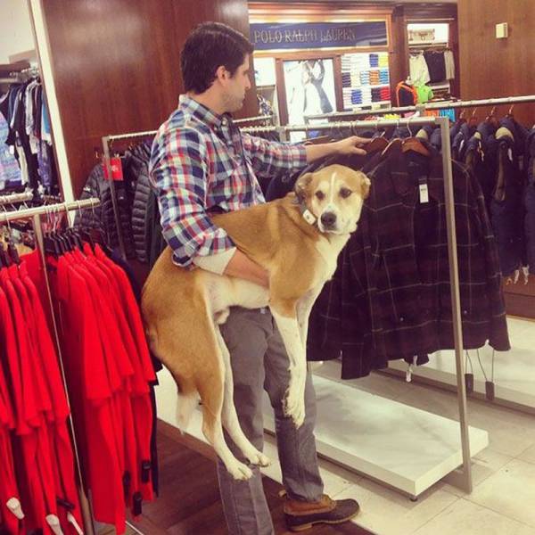 Daily Picdump