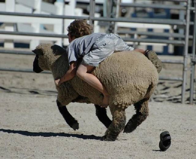 Daily Picdump