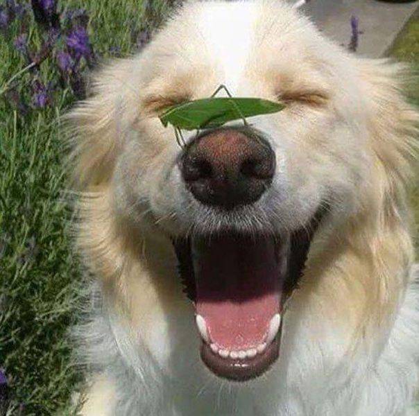 Daily Picdump
