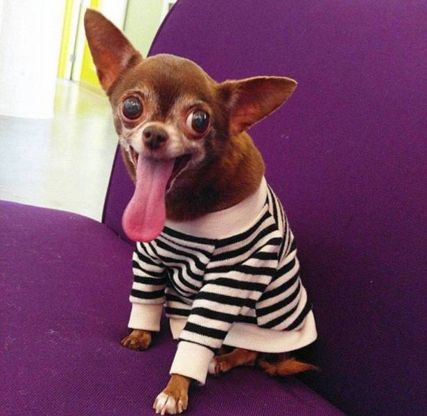 daily picdump 104 pics 2.html - 104 HD Photos | Premium Gallery 2016