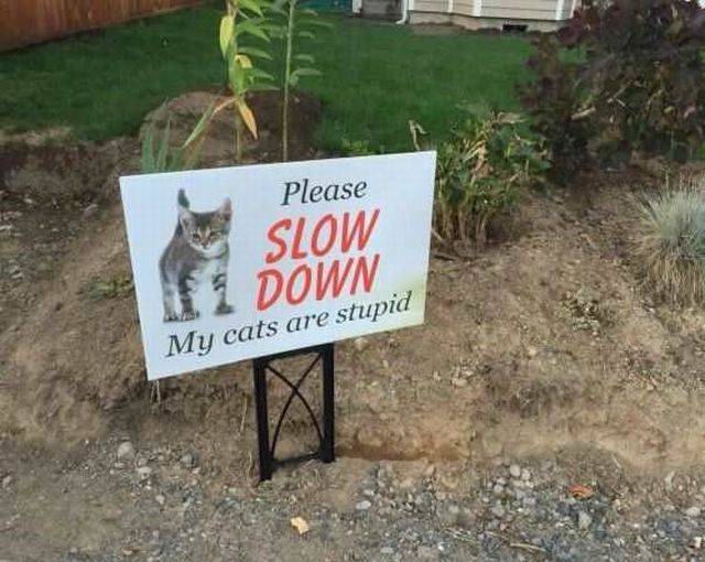 daily picdump 104 pics 2.html - 104 HD Photos | Premium Gallery 2016