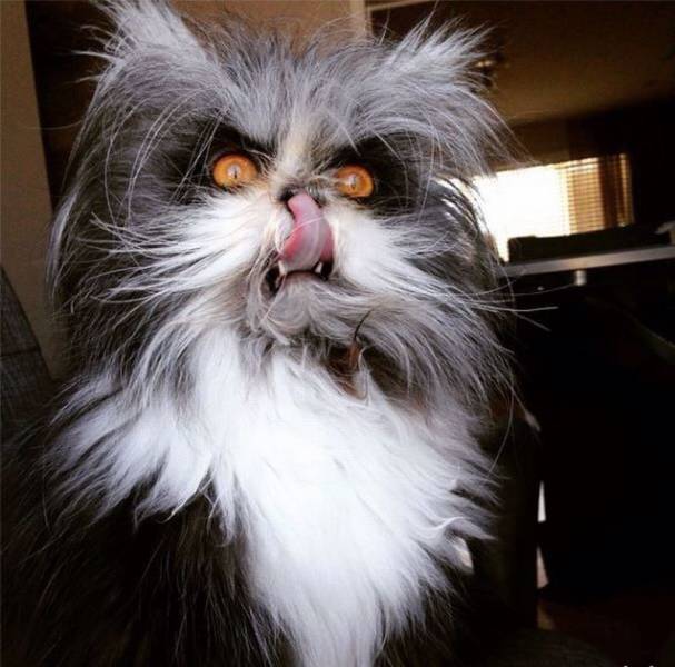 daily picdump 104 pics 2.html - 104 HD Photos | Premium Gallery 2016