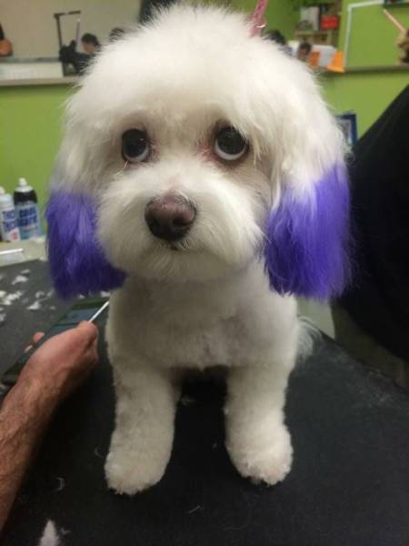 daily picdump 104 pics 2.html - 104 HD Photos | Premium Gallery 2016