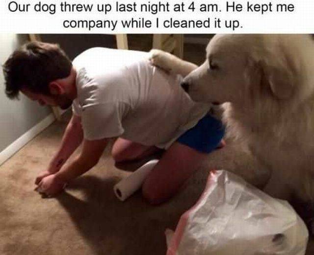 daily picdump 104 pics 2.html - 104 HD Photos | Premium Gallery 2016