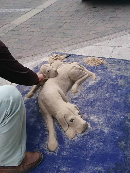 daily picdump 104 pics 2.html - 104 HD Photos | Premium Gallery 2016