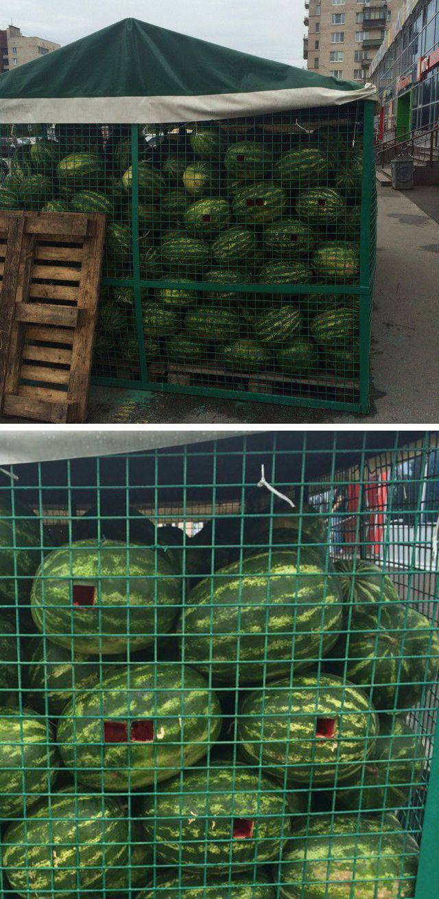 daily picdump 104 pics 2.html - 104 HD Photos | Premium Gallery 2016