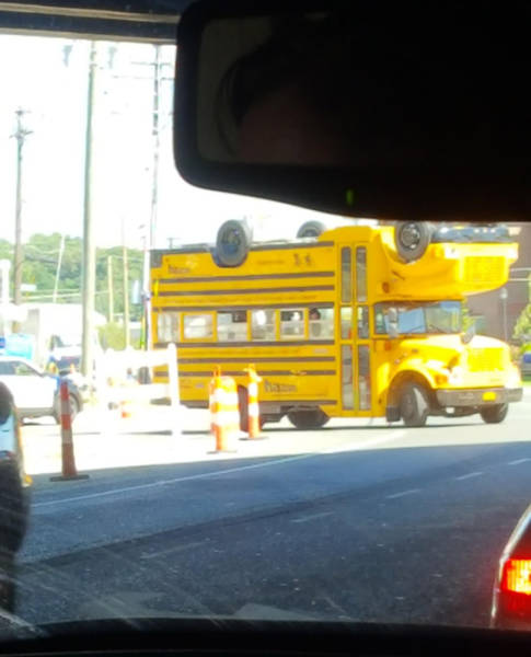 morning picdump 51 pics 1.html - 51 HD Photos | Premium Gallery 2016