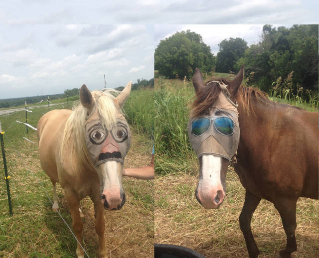 morning picdump 51 pics 1.html - 51 HD Photos | Premium Gallery 2016