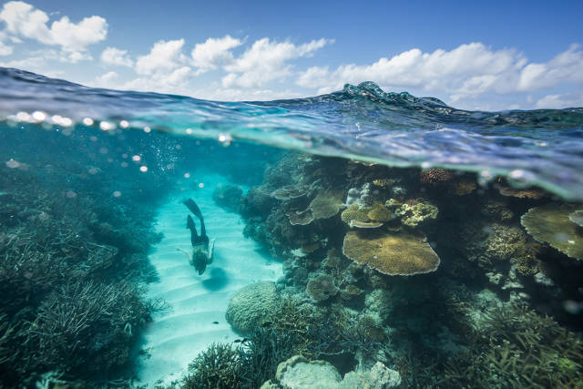 morning picdump 51 pics 1.html - 51 HD Photos | Premium Gallery 2016