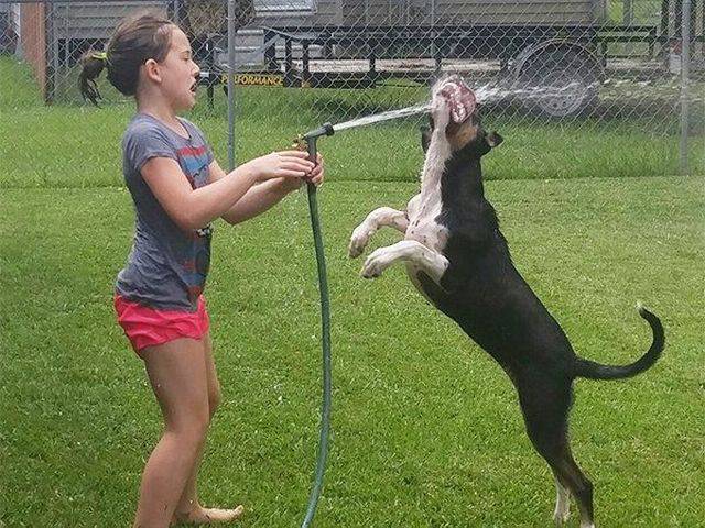 daily picdump 105 pics 5.html - 105 HD Photos | Premium Gallery 2016