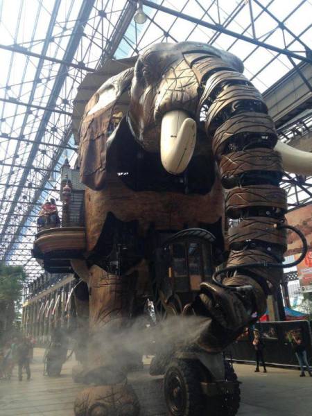 daily picdump 105 pics 5.html - 105 HD Photos | Premium Gallery 2016