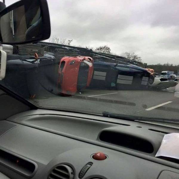 daily picdump 105 pics 5.html - 105 HD Photos | Premium Gallery 2016