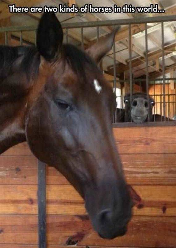 daily picdump 105 pics 5.html - 105 HD Photos | Premium Gallery 2016