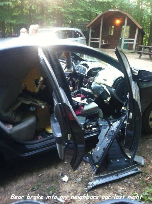 daily picdump 105 pics 5.html - 105 HD Photos | Premium Gallery 2016