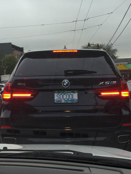 morning picdump 50 pics 23.html - 50 HD Photos | Premium Gallery 2016