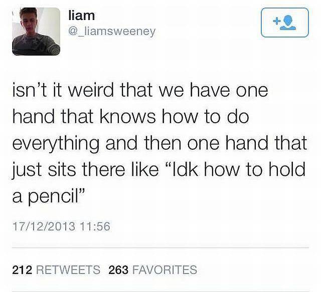 daily picdump 108 pics 4.html - 108 HD Photos | Premium Gallery 2016