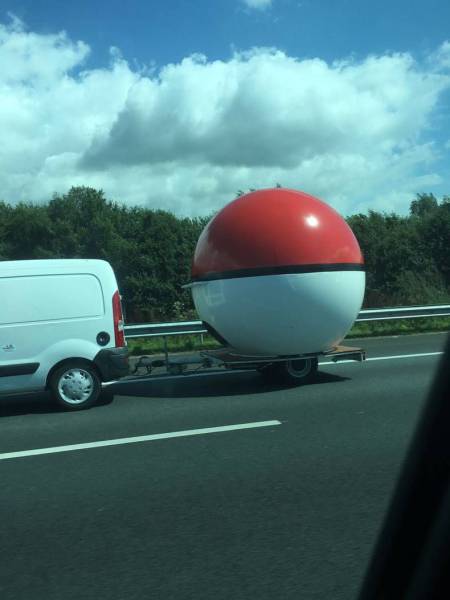 daily picdump 108 pics 4.html - 108 HD Photos | Premium Gallery 2016