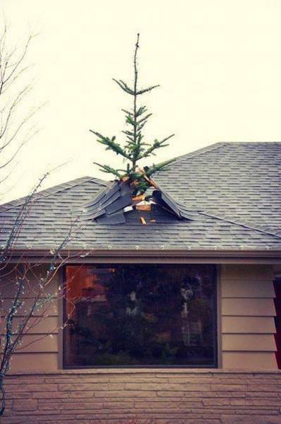 daily picdump 108 pics 4.html - 108 HD Photos | Premium Gallery 2016