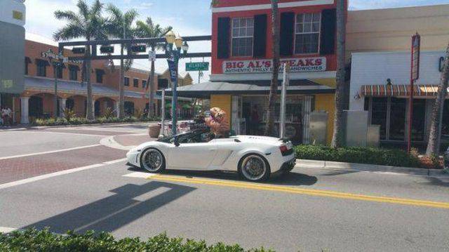 daily picdump 108 pics 4.html - 108 HD Photos | Premium Gallery 2016