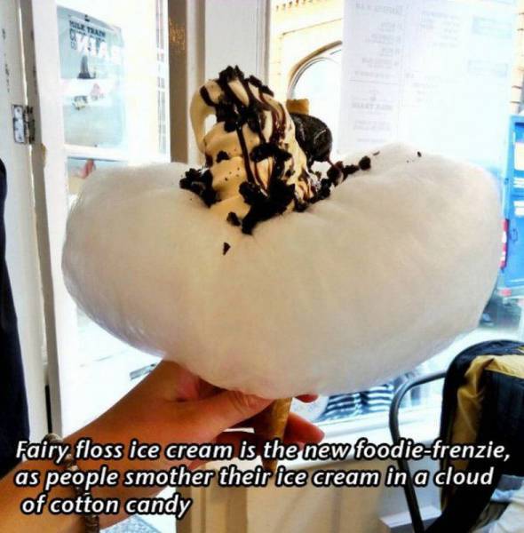 daily picdump 108 pics 4.html - 108 HD Photos | Premium Gallery 2016