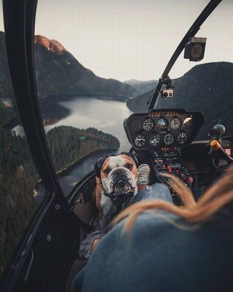 daily picdump 108 pics 4.html - 108 HD Photos | Premium Gallery 2016