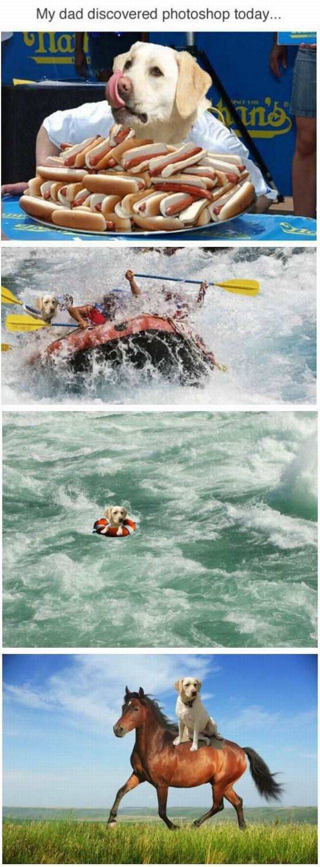 daily picdump 108 pics 4.html - 108 HD Photos | Premium Gallery 2016