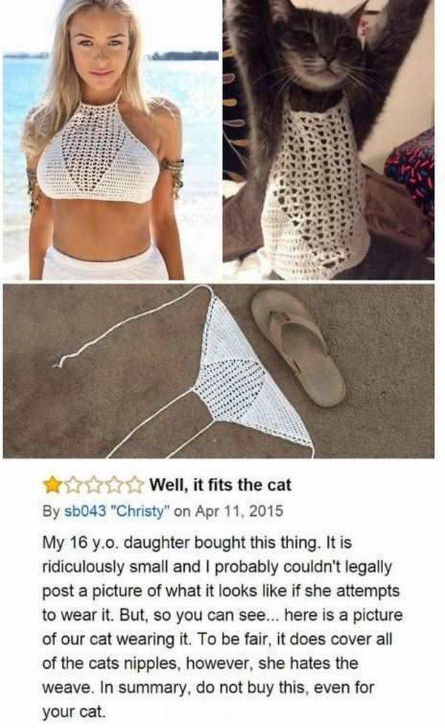 daily picdump 108 pics 4.html - 108 HD Photos | Premium Gallery 2016