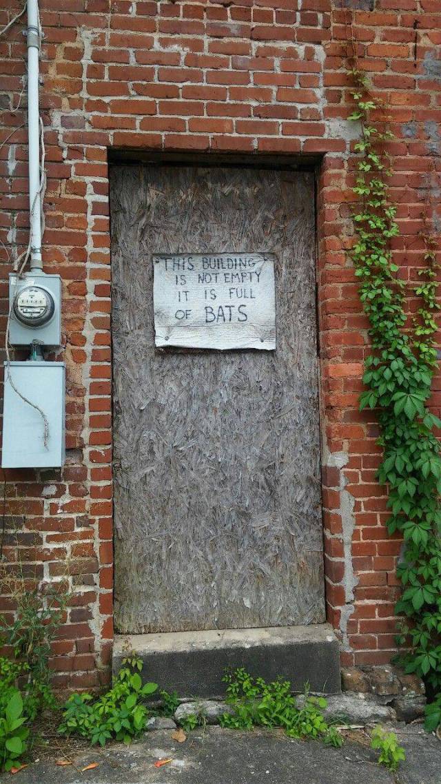 daily picdump 108 pics 4.html - 108 HD Photos | Premium Gallery 2016