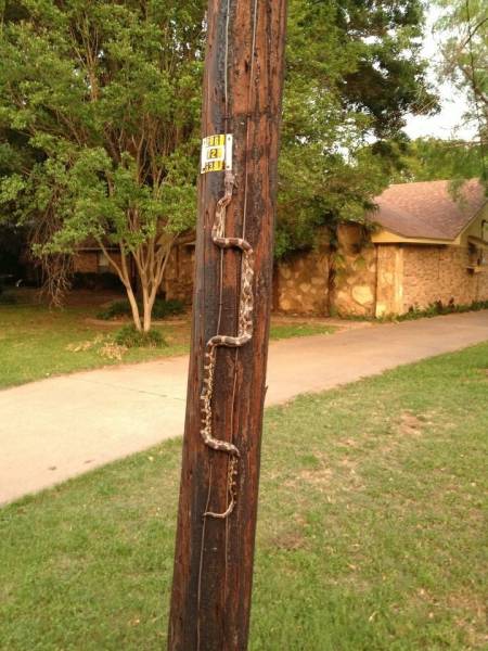 morning picdump 55 pics 10.html - 55 HD Photos | Premium Gallery 2016