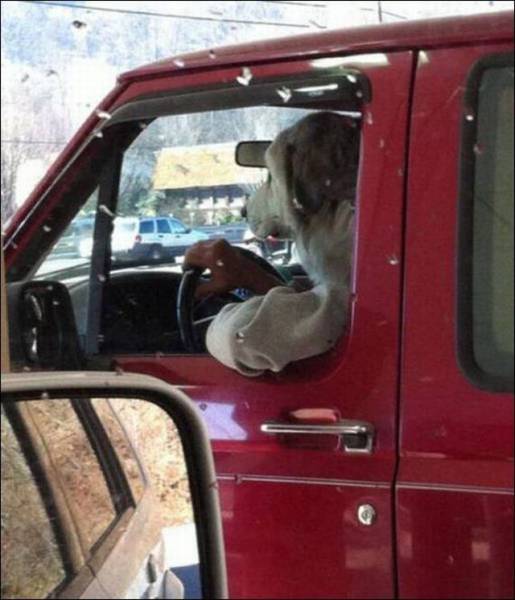 daily picdump 97 pics 48.html - 97 HD Photos | Premium Gallery 2016